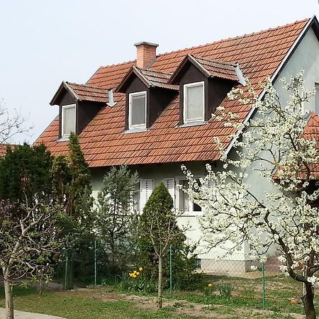Gyula-tanya Vendégház Csongrád Esterno foto