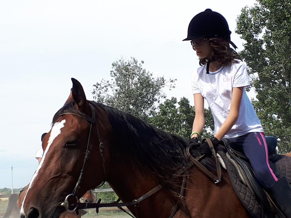 Gyula-tanya Vendégház Csongrád Esterno foto