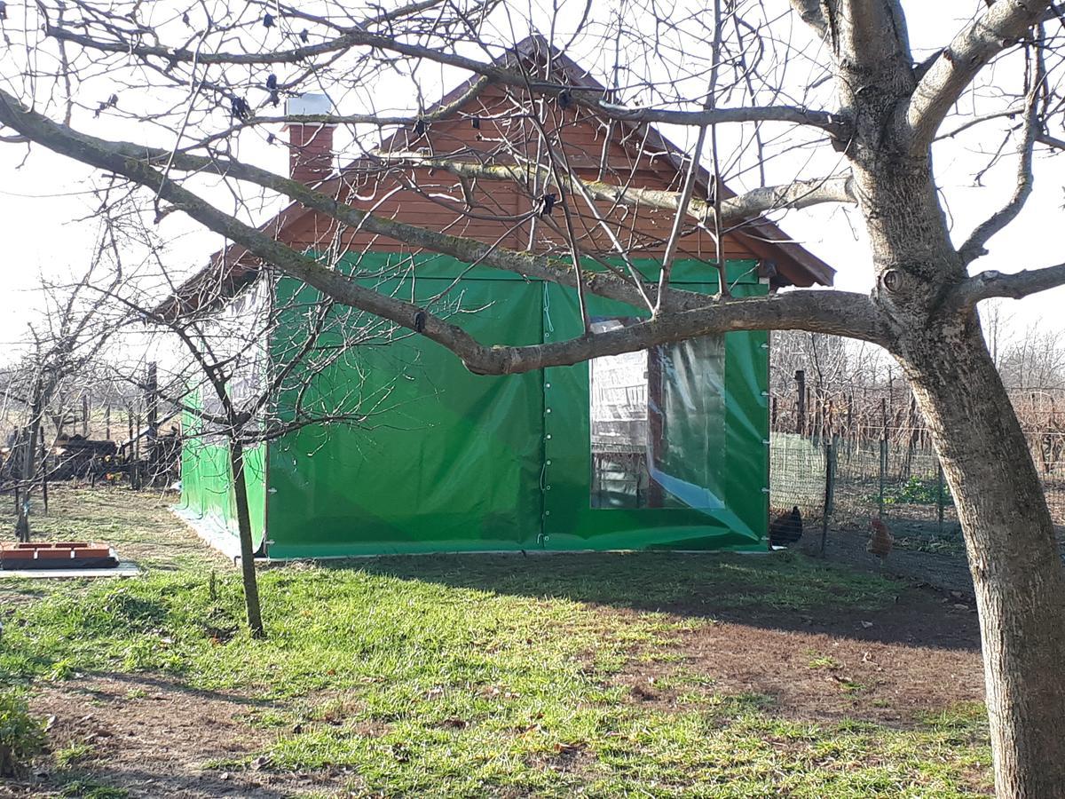 Gyula-tanya Vendégház Csongrád Esterno foto